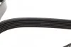 Ремень поликлиновой DAYCO 6PK1610HD (фото 4)
