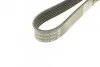 Ремень поликлиновой DAYCO 6PK1613 (фото 3)