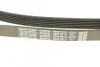Ремень поликлиновой DAYCO 6PK1613 (фото 4)