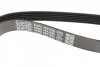 Ремень поликлиновой DAYCO 6PK1635 (фото 3)