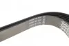 Ремень поликлиновой DAYCO 6PK1635 (фото 4)