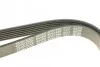 Ремінь П-клиновий DAYCO 6PK1660 (фото 4)