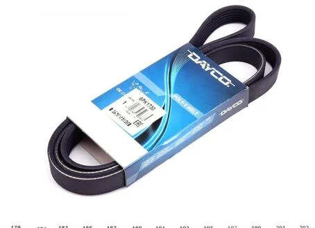 Дорожный пас DAYCO 6PK1730