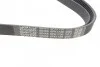 Ремінь П-клиновий DAYCO 6PK1736 (фото 2)
