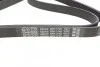 Ремень поликлиновой DAYCO 6PK1740 (фото 3)