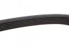 Ремень поликлиновой DAYCO 6PK1740 (фото 4)