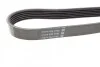 Ремень поликлиновой DAYCO 6PK1744 (фото 3)