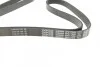 Ремень поликлиновой DAYCO 6PK1750 (фото 2)