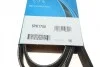 Ремень поликлиновой DAYCO 6PK1750 (фото 6)