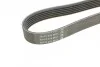 Ремень поликлиновой DAYCO 6PK1755 (фото 3)