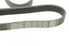Ремень поликлиновой DAYCO 6PK1755 (фото 4)