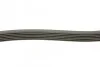 Ремень поликлиновой DAYCO 6PK1795 (фото 2)