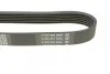 Ремень поликлиновой DAYCO 6PK1795 (фото 3)
