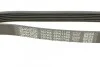 Ремень поликлиновой DAYCO 6PK1795 (фото 4)