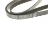 Ремень поликлиновой DAYCO 6PK2000 (фото 4)