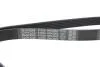 Ремень поликлиновой DAYCO 6PK2063 (фото 4)