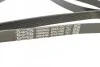 Ремінь П-клиновий DAYCO 6PK2155S (фото 3)