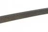 Ремінь П-клиновий DAYCO 6PK2155S (фото 4)