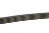Поликлиновой ремень DAYCO 6PK2160 (фото 2)