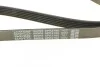 Поликлиновой ремень DAYCO 6PK2160 (фото 4)