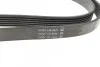 Ремень поликлиновой DAYCO 6PK2170 (фото 3)