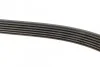 Ремень поликлиновой DAYCO 6PK2170 (фото 4)