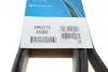 Ремень поликлиновой DAYCO 6PK2170 (фото 6)