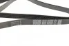 Поликлиновой ремень DAYCO 6PK2203 (фото 2)