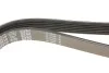Ремінь П-клиновий DAYCO 6PK2210 (фото 4)
