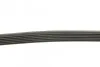 Ремень поликлиновый (Вы-во) DAYCO 6PK2220K (фото 2)