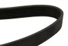 Ремень поликлиновой DAYCO 6PK2225 (фото 2)