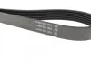 Ремень поликлиновой DAYCO 6PK2240 (фото 2)