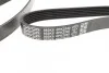 Ремень поликлиновой DAYCO 6PK2240 (фото 3)