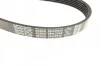 Ремень поликлиновой DAYCO 6PK2345 (фото 2)
