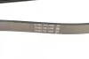Ремень поликлиновой DAYCO 6PK2345 (фото 3)