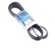 Ремень поликлиновой Dayco 6PK2404
