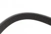 Ремень поликлиновой DAYCO 6PK2525 (фото 4)
