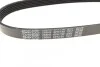 Ремень поликлиновой DAYCO 6PK730 (фото 3)