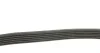 Дорiжковий ремінь DAYCO 6PK780 (фото 3)