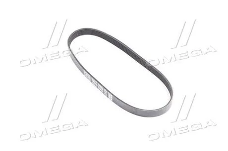 Ремень поликлиновый DAYCO 6PK803K