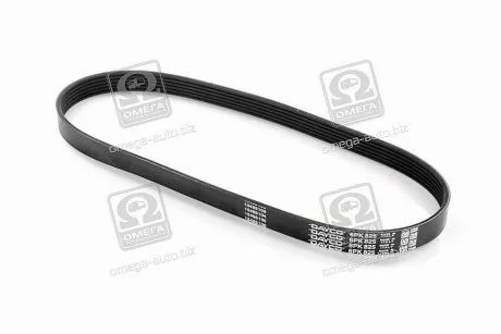 Ремень поликлиновой DAYCO 6PK825