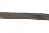 Ремень поликлиновой DAYCO 6PK831EE (фото 3)
