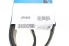 Ремень поликлиновой DAYCO 6PK858 (фото 6)
