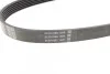 Ремень поликлиновой DAYCO 6PK894 (фото 3)