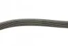 Ремень поликлиновой DAYCO 6PK900 (фото 4)