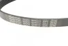 Ремень поликлиновой DAYCO 6PK915 (фото 2)