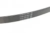 Ремень поликлиновой DAYCO 6PK915 (фото 3)