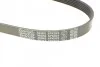 Поликлиновой ремень DAYCO 6PK923 (фото 4)