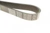 Ремень поликлиновый DAYCO 7PK1085S (фото 2)