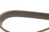 Ремень поликлиновый DAYCO 7PK1085S (фото 4)